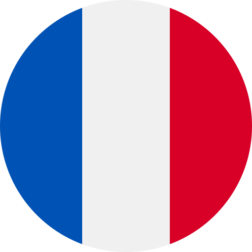 france flag